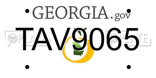 TAV9065 Georgia License Plate
