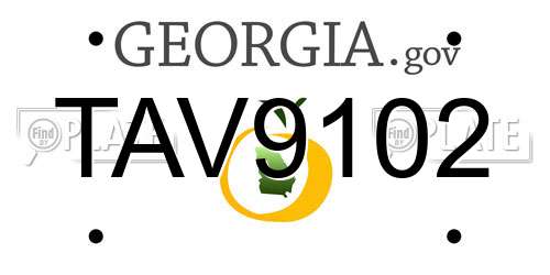 TAV9102 Georgia License Plate