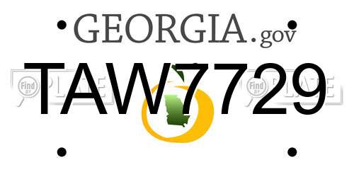 TAW7729 Georgia License Plate