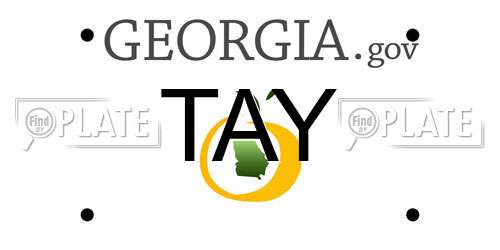TAY Georgia License Plate