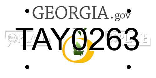 TAY0263 Georgia License Plate