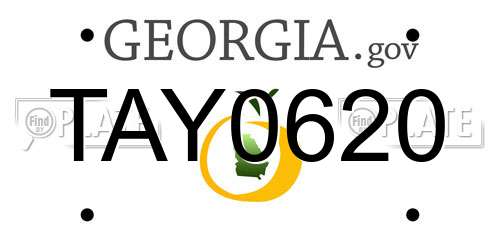 TAY0620 Georgia License Plate
