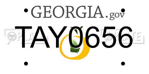 TAY0656 Georgia License Plate