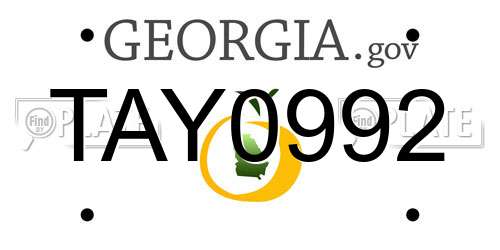 TAY0992 Georgia License Plate