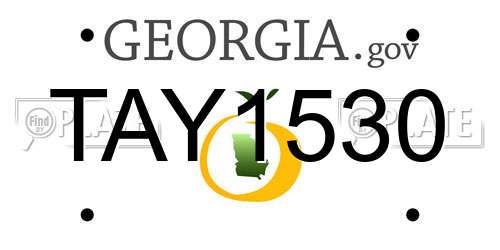 TAY1530 Georgia License Plate
