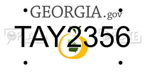 TAY2356 Georgia License Plate