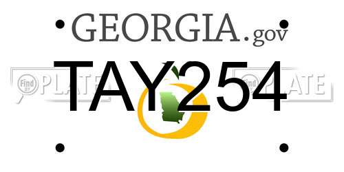 TAY254 Georgia License Plate