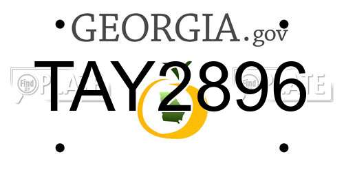 TAY2896 Georgia License Plate