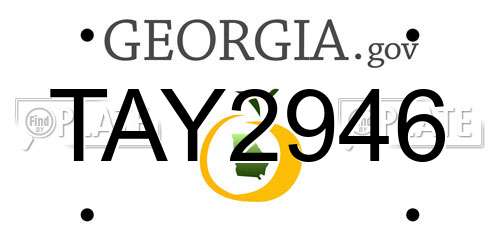 TAY2946 Georgia License Plate