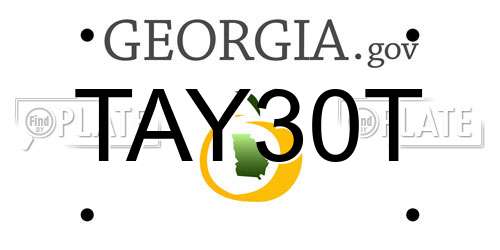 TAY30T Georgia License Plate