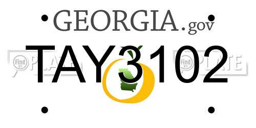 TAY3102 Georgia License Plate