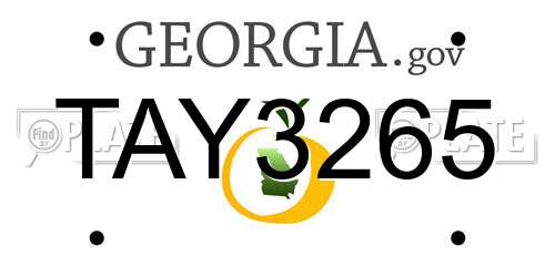 TAY3265 Georgia License Plate