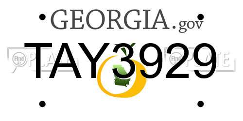TAY3929 Georgia License Plate