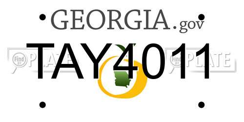 TAY4011 Georgia License Plate
