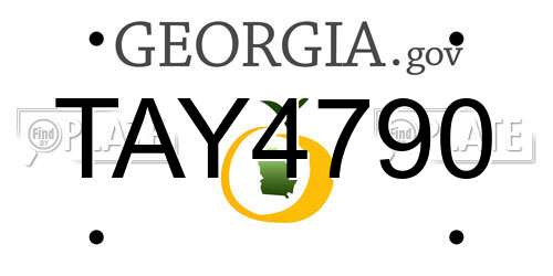 TAY4790 Georgia License Plate
