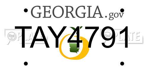 TAY4791 Georgia License Plate