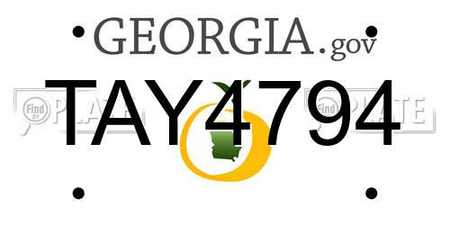 TAY4794 Georgia License Plate
