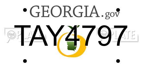 TAY4797 Georgia License Plate