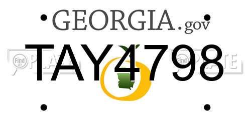 TAY4798 Georgia License Plate