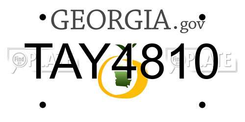 TAY4810 Georgia License Plate