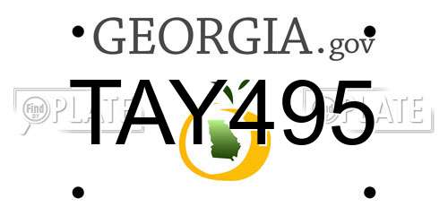 TAY495 Georgia License Plate
