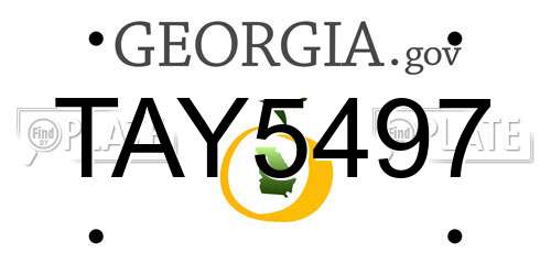 TAY5497 Georgia License Plate