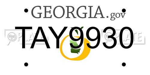 TAY9930 Georgia License Plate