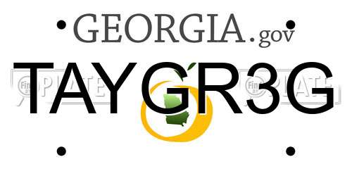 TAYGR3G Georgia License Plate