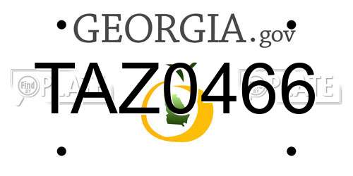 TAZ0466 Georgia License Plate