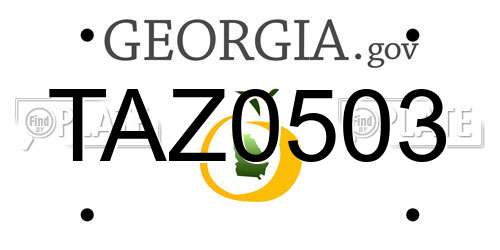 TAZ0503 Georgia License Plate