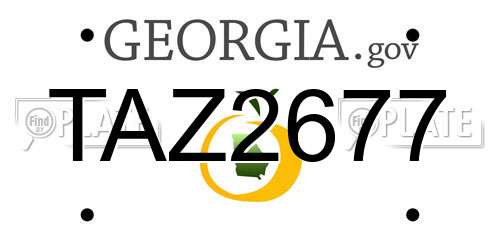 TAZ2677 Georgia License Plate