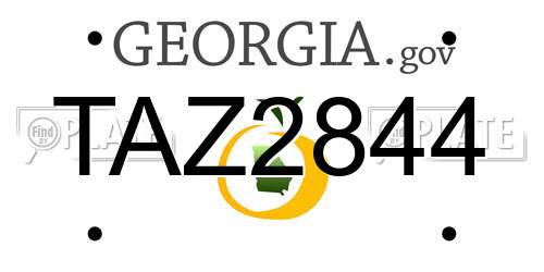 TAZ2844 Georgia License Plate