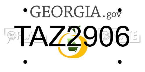 TAZ2906 Georgia License Plate