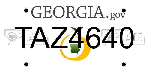 TAZ4640 Georgia License Plate