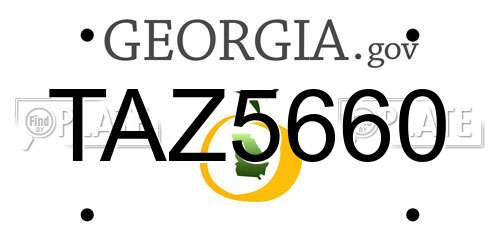TAZ5660 Georgia License Plate