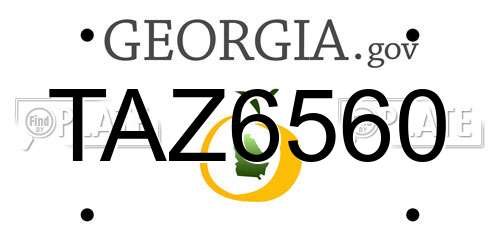 TAZ6560 Georgia License Plate