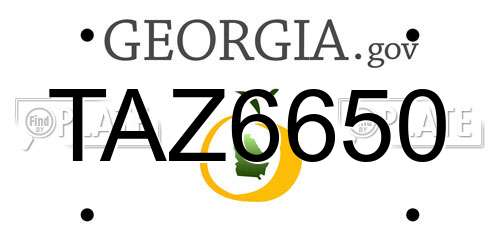 TAZ6650 Georgia License Plate