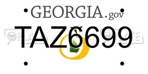 TAZ6699 Georgia License Plate