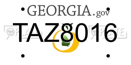 TAZ8016 Georgia License Plate