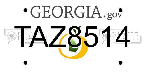 TAZ8514 Georgia License Plate