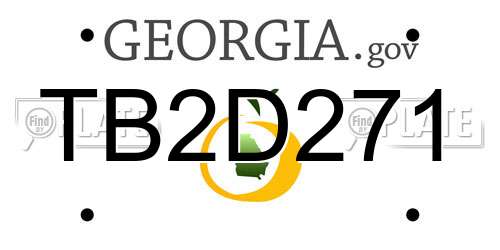 TB2D271 Georgia License Plate
