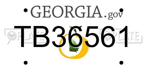 TB36561 Georgia License Plate