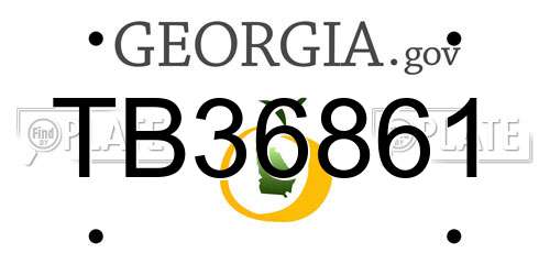TB36861 Georgia License Plate
