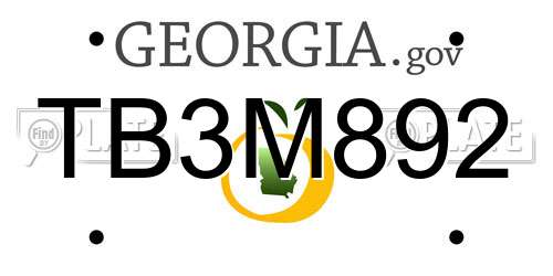 TB3M892 Georgia License Plate