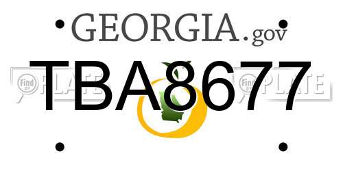 TBA8677 Georgia License Plate
