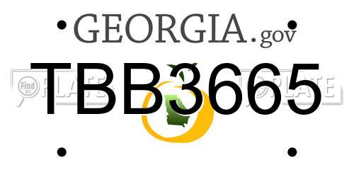 TBB3665 Georgia License Plate