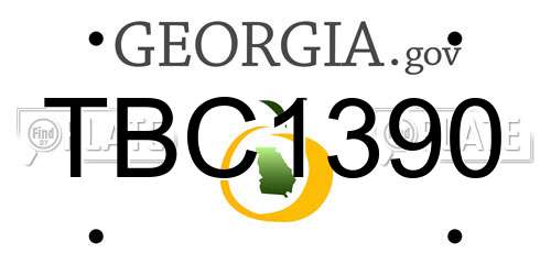 TBC1390 Georgia License Plate