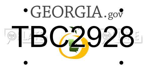 TBC2928 Georgia License Plate