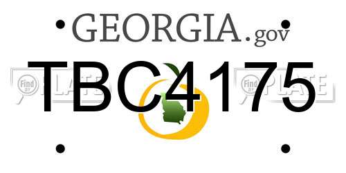 TBC4175 Georgia License Plate