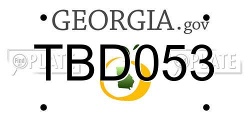 TBD053 Georgia License Plate